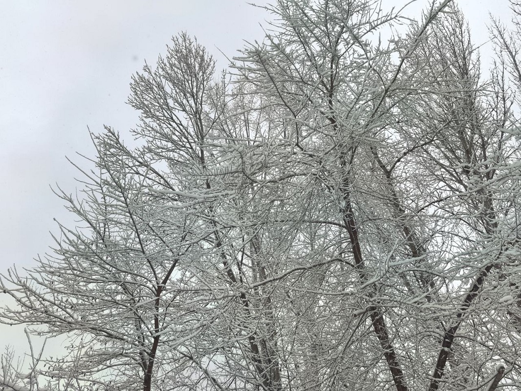 В понедельник 28 апреля в регионе ожидаются осадки в виде дождя и мокрого снега.  Фото: ФедералПресс / Ксения Кобалия
