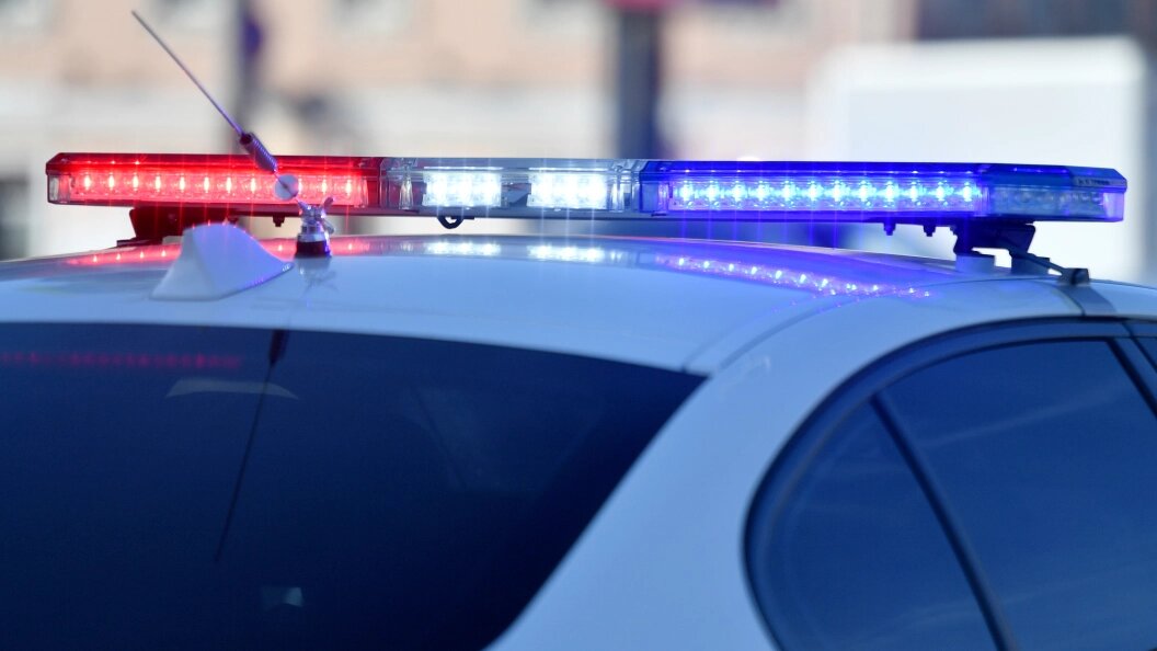    Фото: Vladimir Baranov/Globallookpress