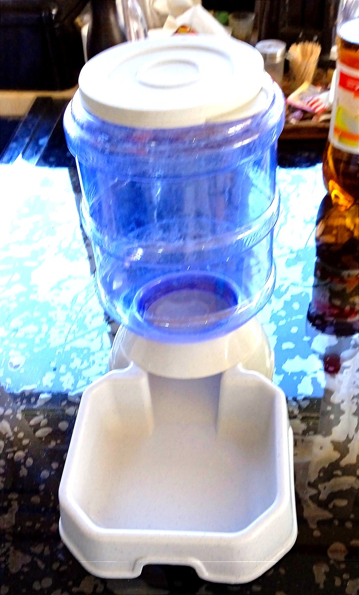 Ей уже 9 лет