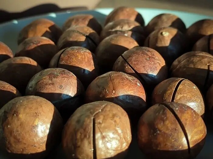  По вкусу макадамия напоминает печенье или пирожные   © Интерфакс. Наталья Пономарева