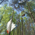  📷Спасатели показали, как снимали застрявшую на дереве на высоте 12 метров парашютистку под Малоритой