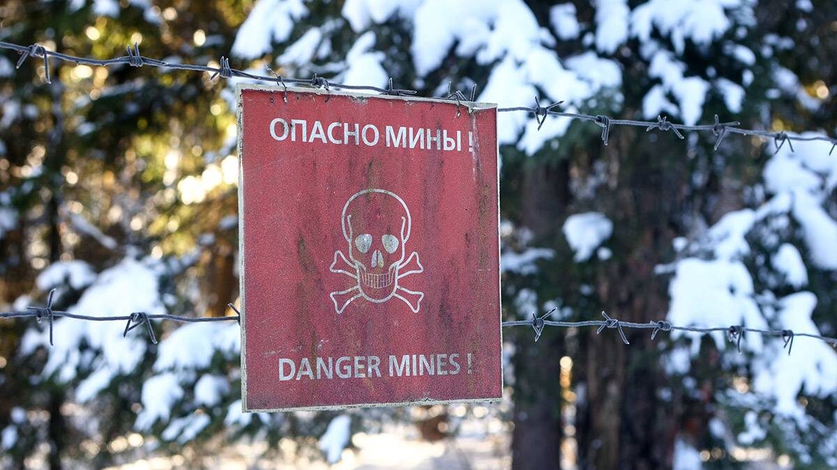    Фото: Ярослав Чингаев / АГН Москва