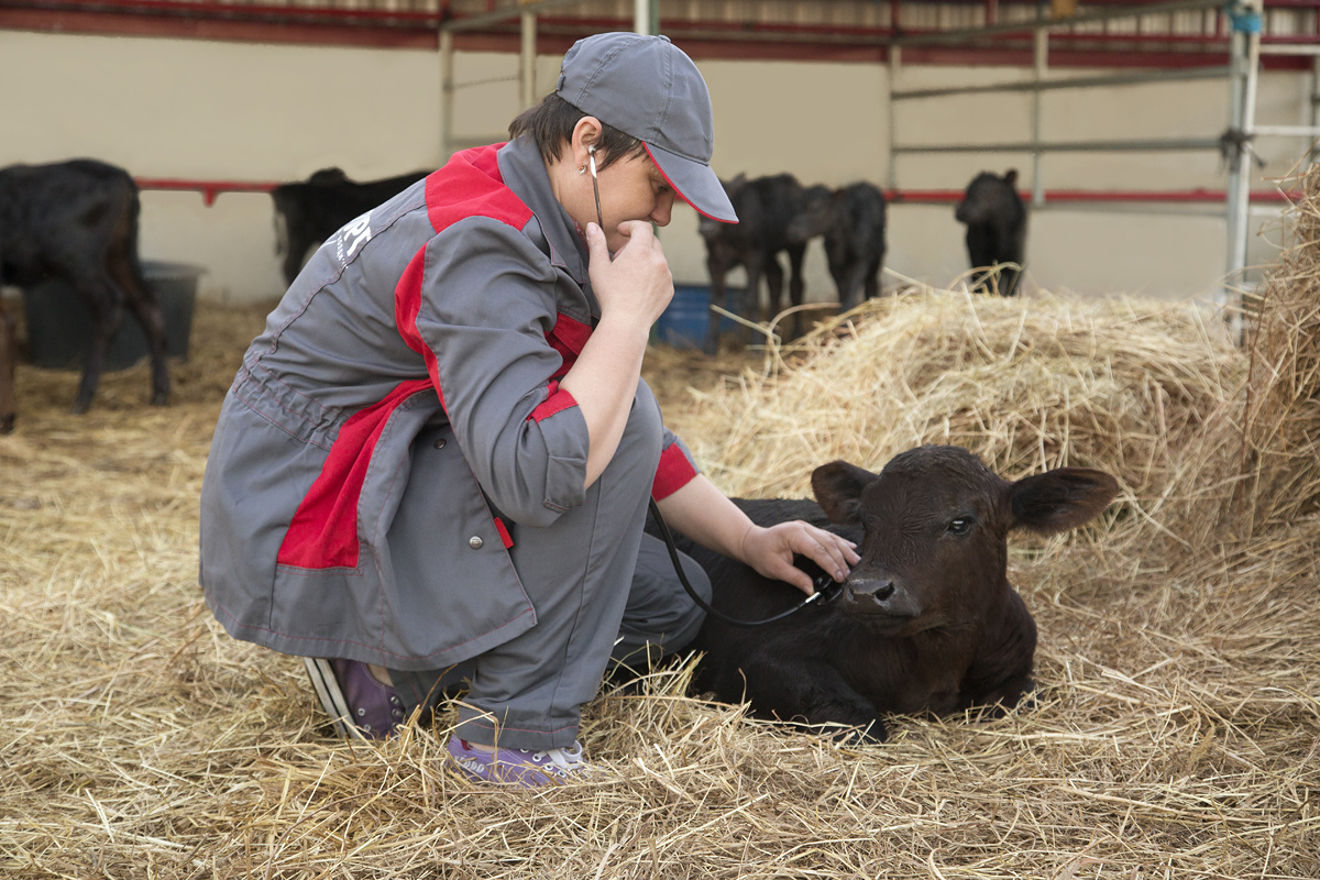 Каждый ветеринар, как никто другой, знает, как найти подход к любому своему подопечному