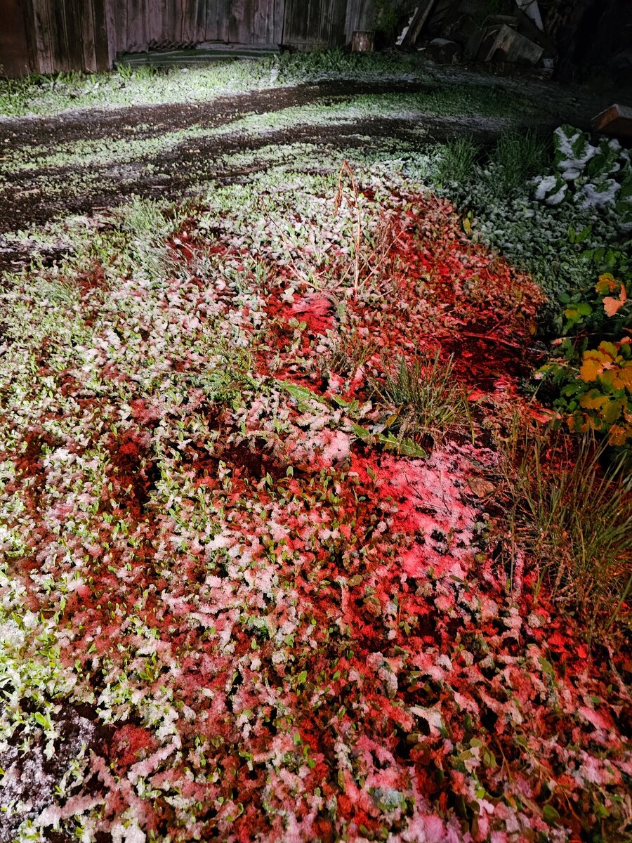 Снег в конце апреля