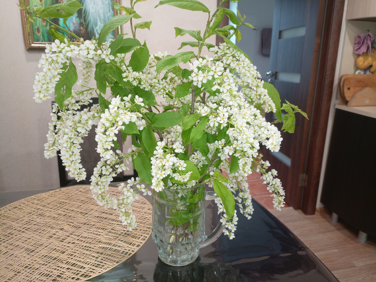 Букет черемухи