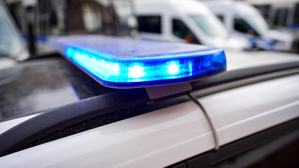    Фото: ИЗВЕСТИЯ/Сергей Лантюхов