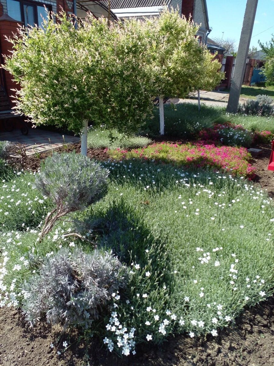 Фото из личного альбома