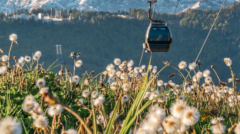 Фото: пресс-служба «Розы Хутор».