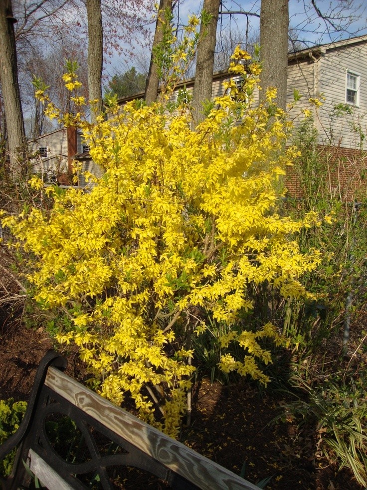 Источник фото Pinterest