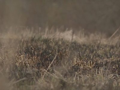    Фото: ГТРК Карелия