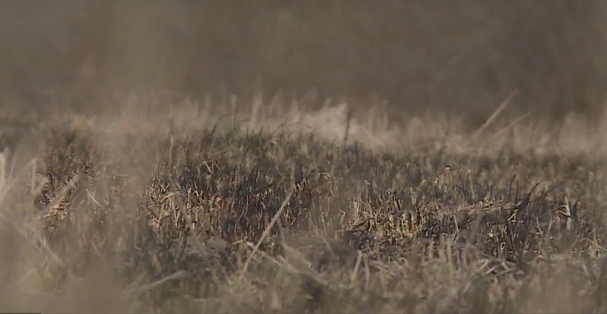    Фото: ГТРК Карелия