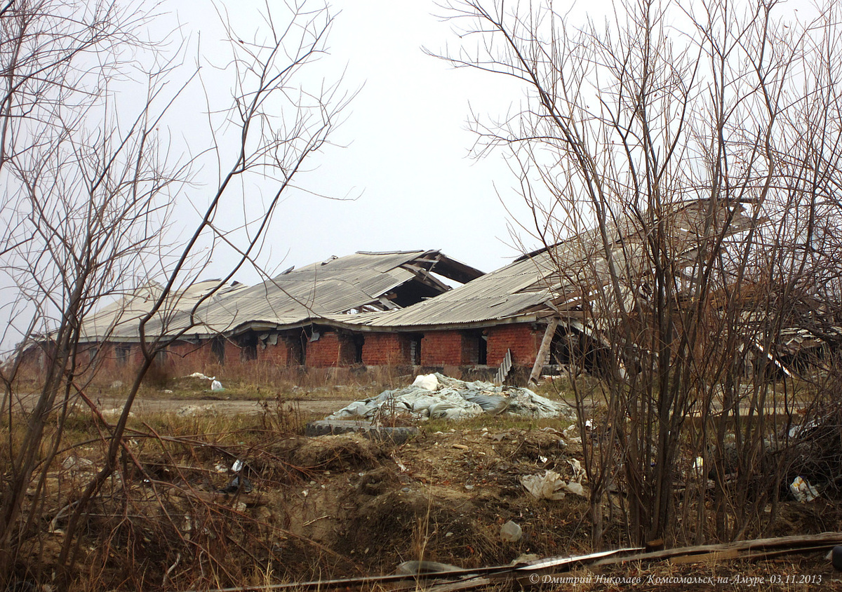 Совхоз «Хорпинский», 2013 г.