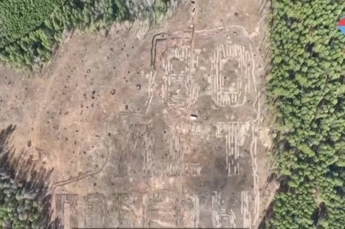    В Зауралье появился геоглиф из 20 тысяч сосен в честь 80-летия Победы