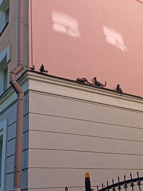 Фёдоровский ручей и его кошки)