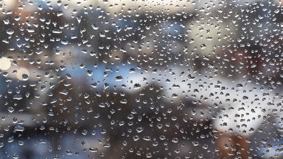 Фото: Константин Франовский / Коммерсантъ