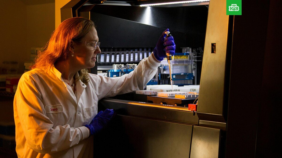    Фото: РИА Новости © 2025, National Cancer Institute