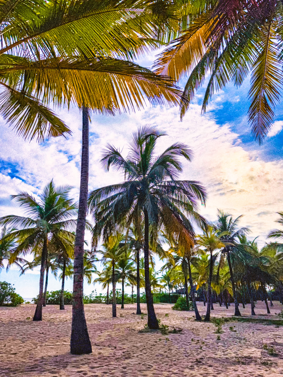 Шри-Ланка. Фото автора