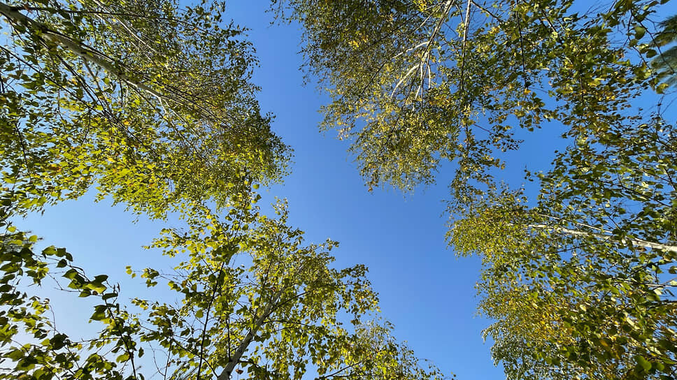 Фото: Игорь Елисеев / Коммерсантъ