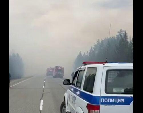    Фото: Пресс-служба УМВД России по Забайкальскому краю