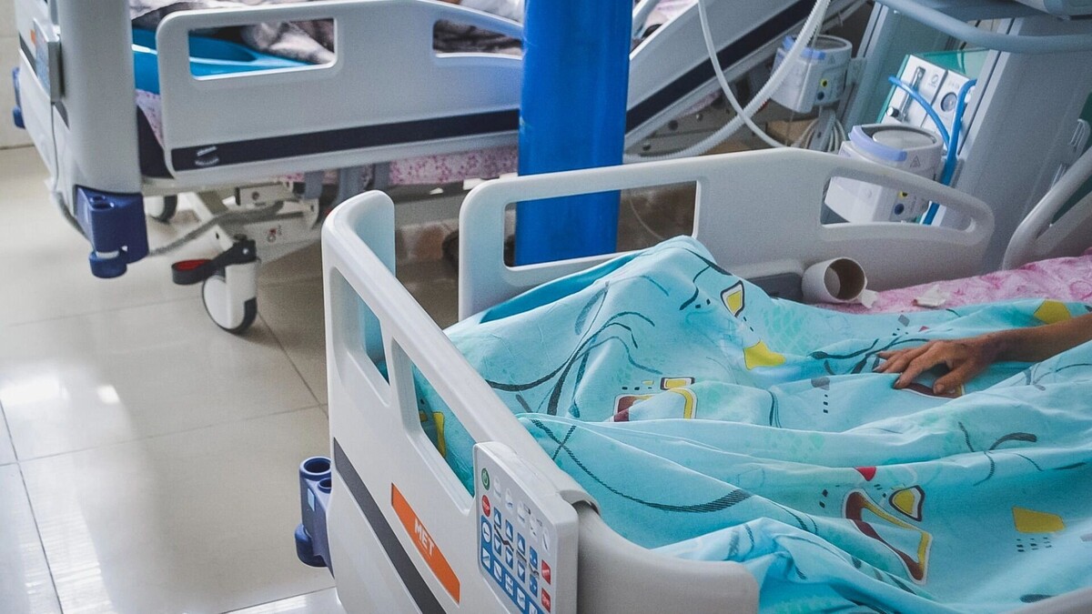     Источник: 1MI