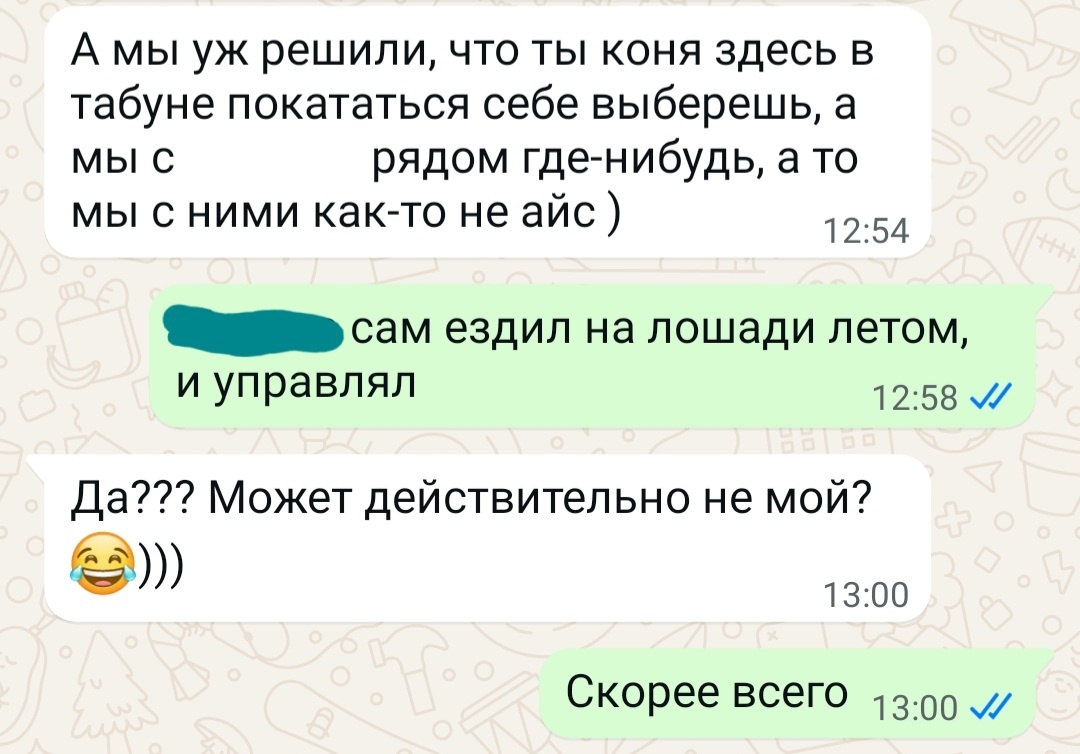 Скрин переписки 