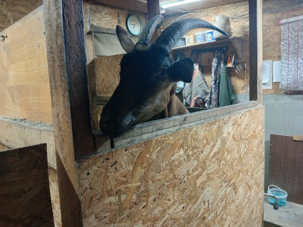 Заюша ждет целовашек