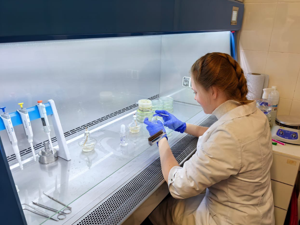 Фото: пресс-служба АО Фирма «Август»