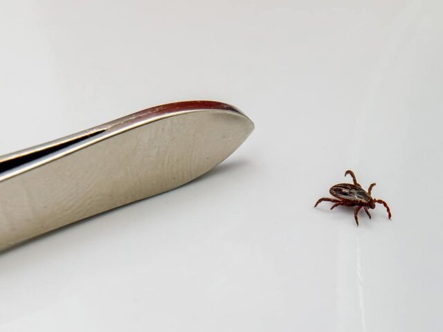    Фото: портал мэра и правительства Москвы/Александра Липкина