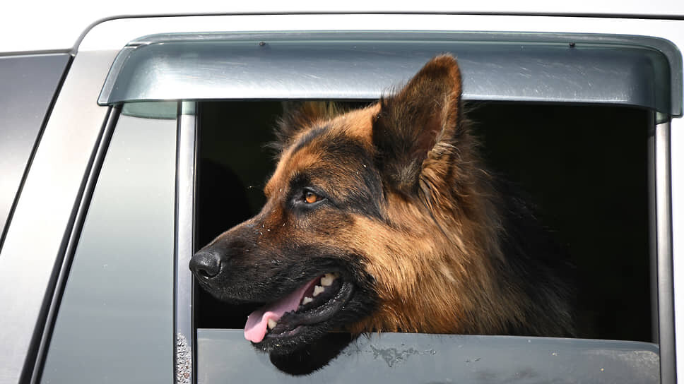 Фото: Антон Новодерёжкин / Коммерсантъ