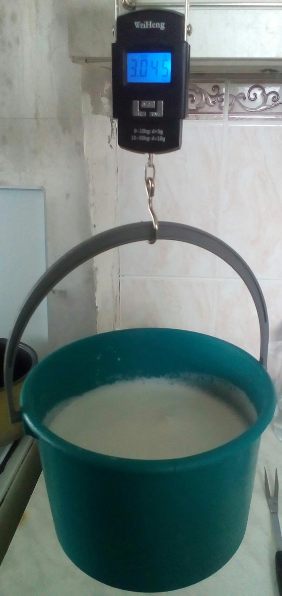 Утренний надой Витаминки, 3 окот