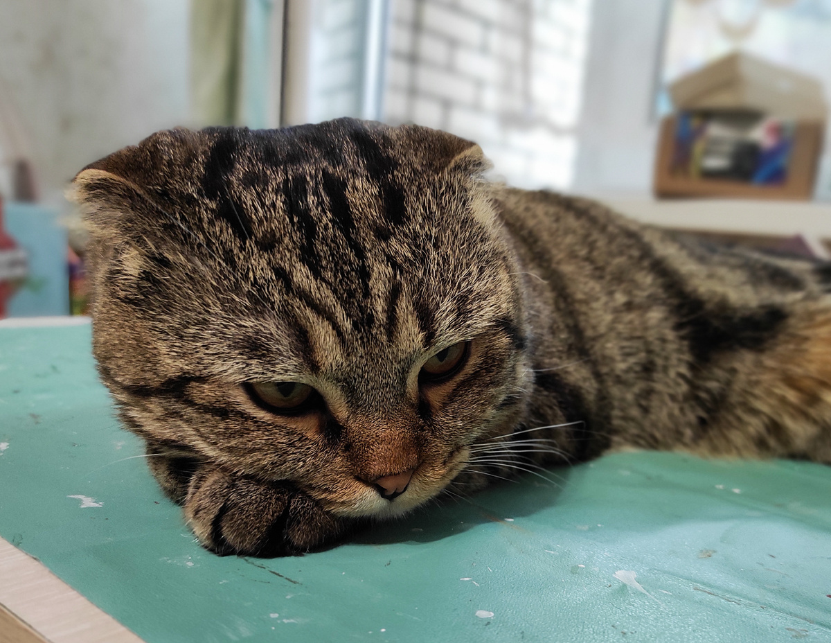 Слёзы? Не дождётесь!