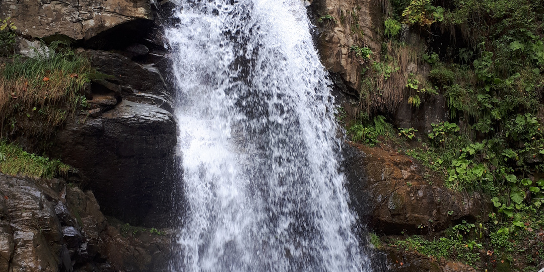 Доверяй, но проверяй....