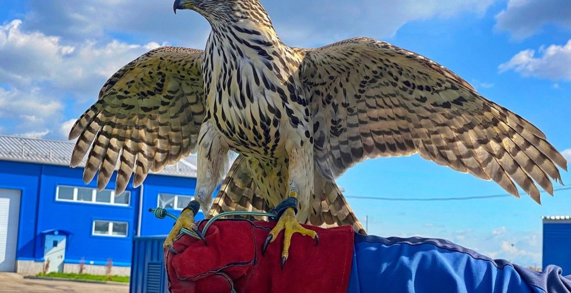    Фото: Минэкологии Челябинской области