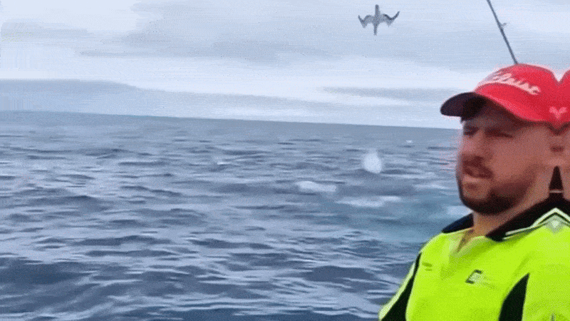 Нравится Формат? Поддержи Канал Лайком и напиши какой эпизод понравился больше всех