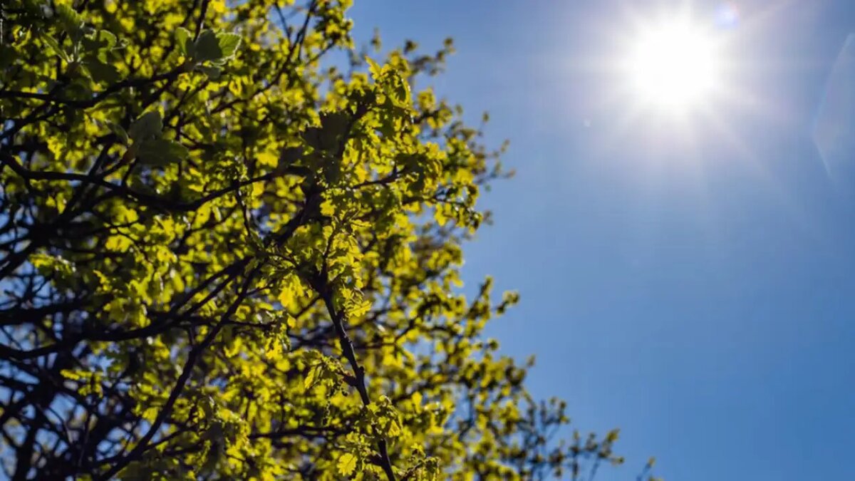    Весна в Москве.