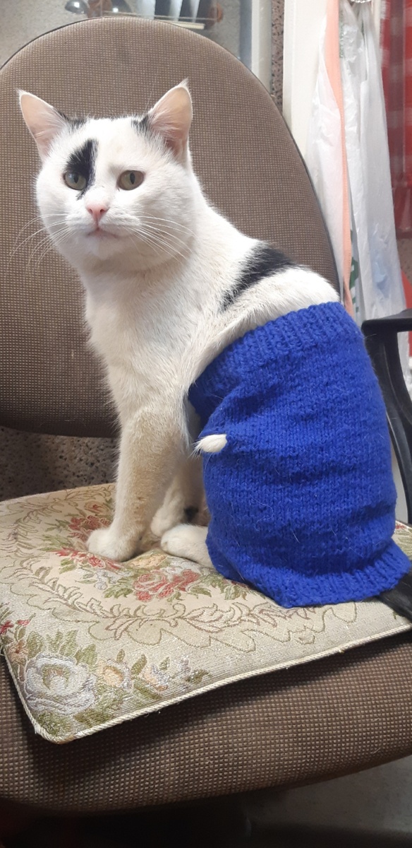 Юбка делает тебя серьёзнее.