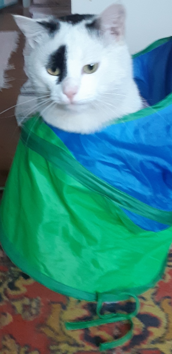 В юбке хорошо думается