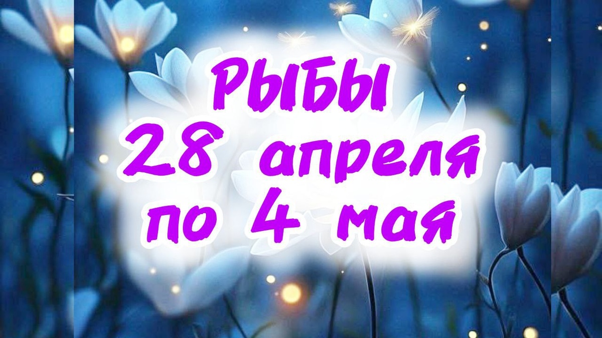 фото принадлежит автору канала