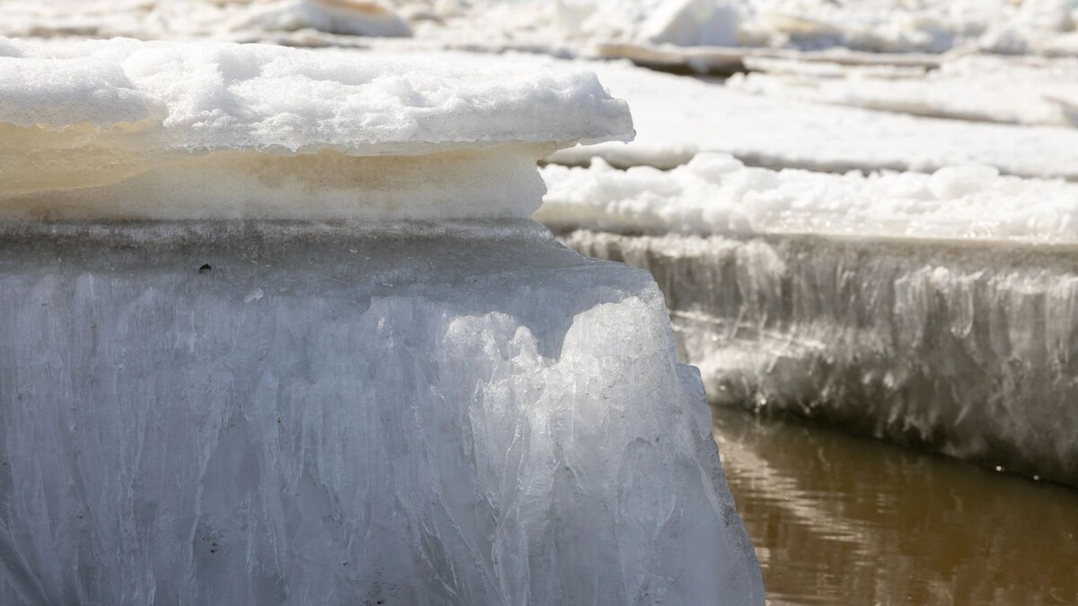    Фото: Федор Воронов/«Ямал-Медиа»