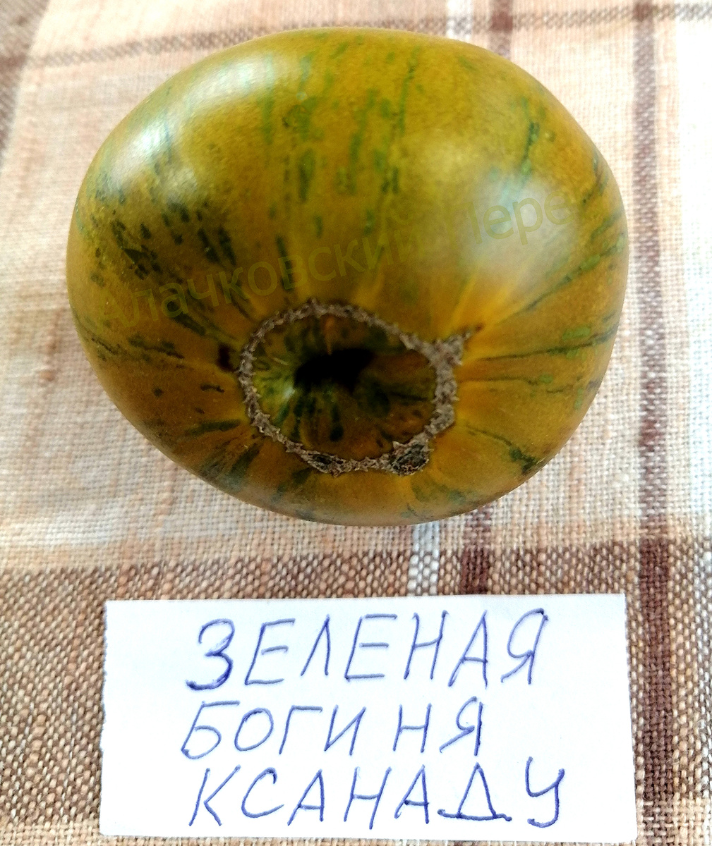 Зеленая богиня Ксанаду