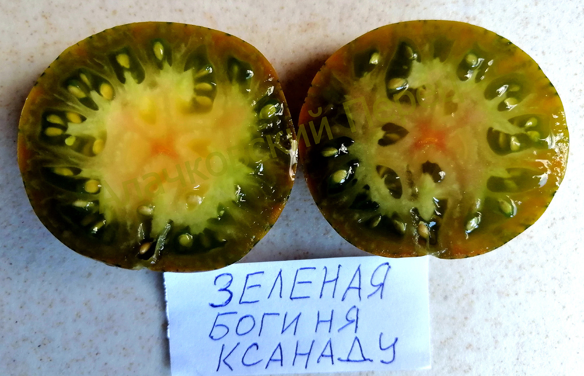 Зеленая богиня Ксанаду