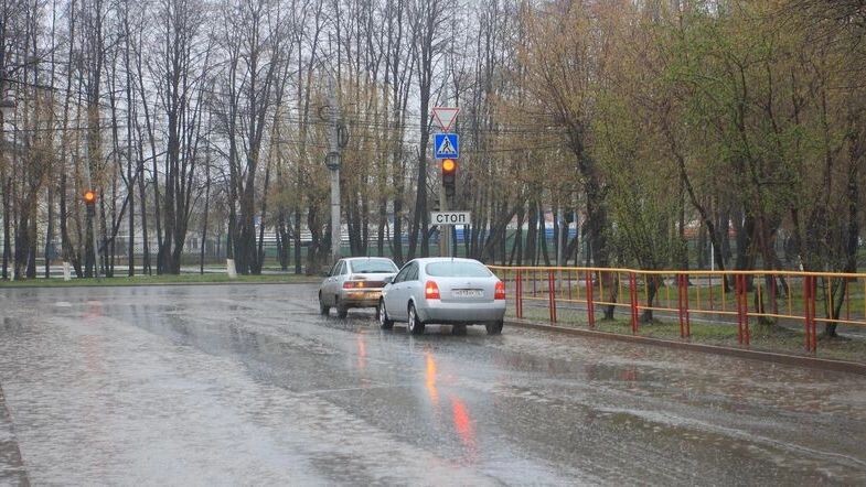    Фото: Matveychuk Anatoliy/Shutterstock/Fotodom