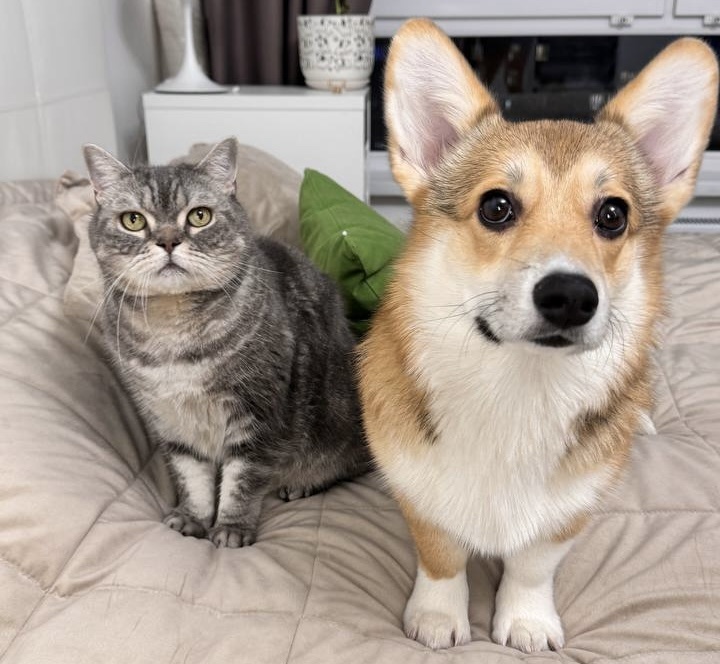 Бэнни и Твикси