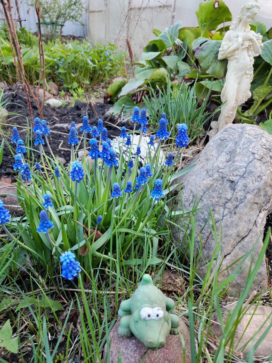 весна пришла, пора на пикник!