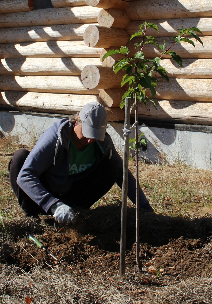 17 сентября 2018 года - прирост за сезон
