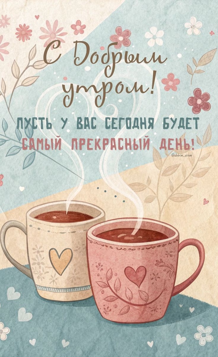 Фото из открытого источника в интернете.