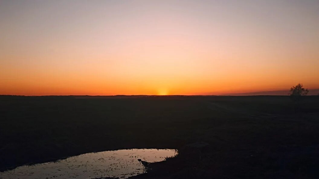    ФОТО: Царьград