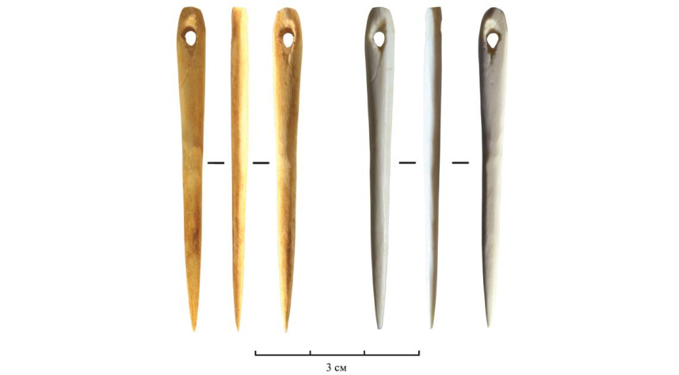   Ирина Шмидт и Анна Керик / Вестник Новосибирского университета. Серия: История, филология, 2025