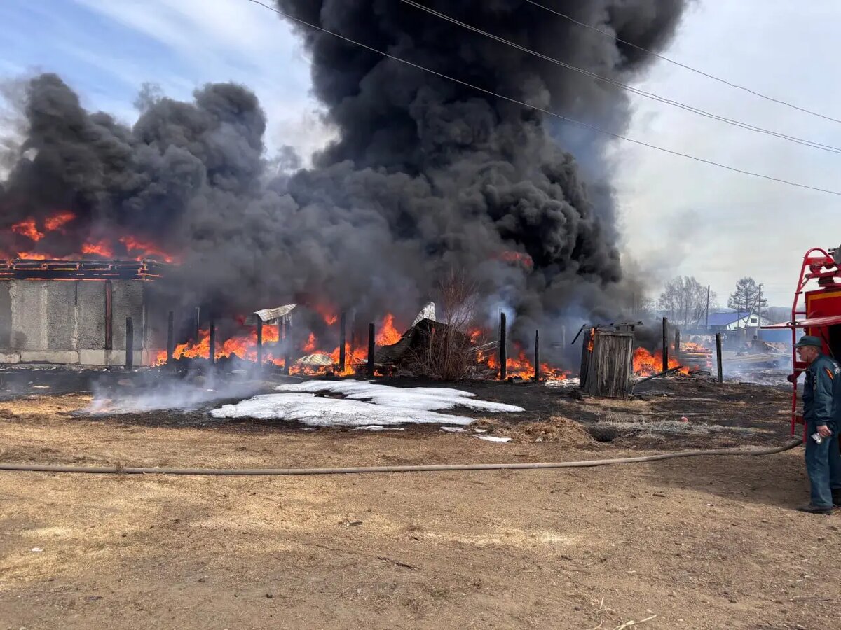     © Прокурор Красночикойского района Алдар Батоцыренов