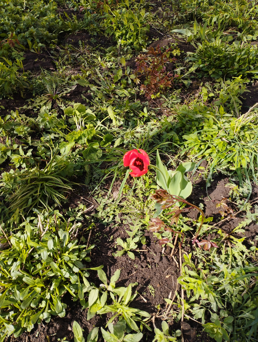 Фото автора. 